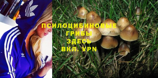 PSILOCYBIN Алексин