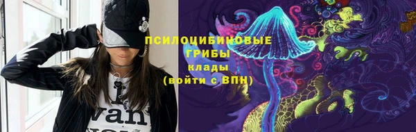 гидра Алзамай