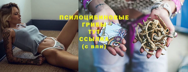 гидра Алзамай